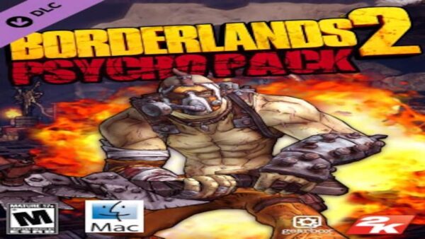 BORDERLANDS 2PSYCHO PACK STEAM KEY