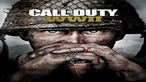 CALL OF DUTY: WWII STEAM KEY