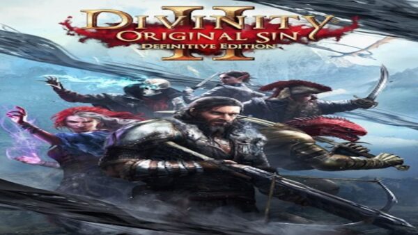 DIVINITY: ORIGINAL SIN 2 | DEFINITIVE EDITION GOG.COM KEY