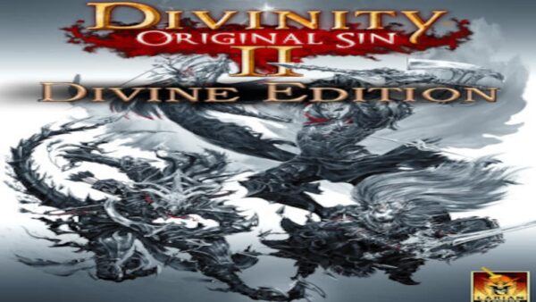 DIVINITY: ORIGINAL SIN 2DIVINE EDITION GOG.COM KEY