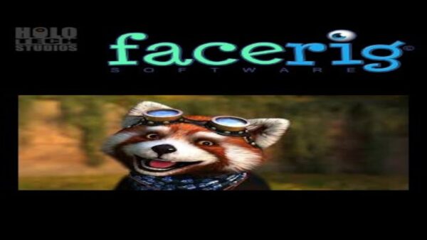 FACERIG STEAM KEY