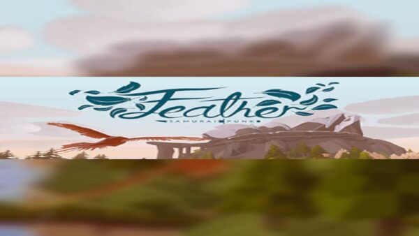 FEATHER STEAM KEY