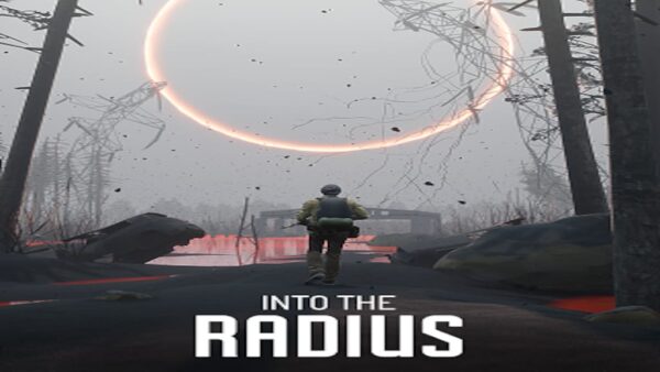 INTO THE RADIUS VR STEAM KEY