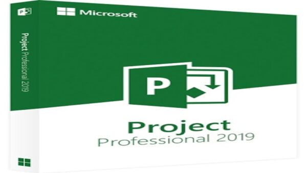 MICROSOFT PROJECT 2019 PROFESSIONAL - MICROSOFT KEY