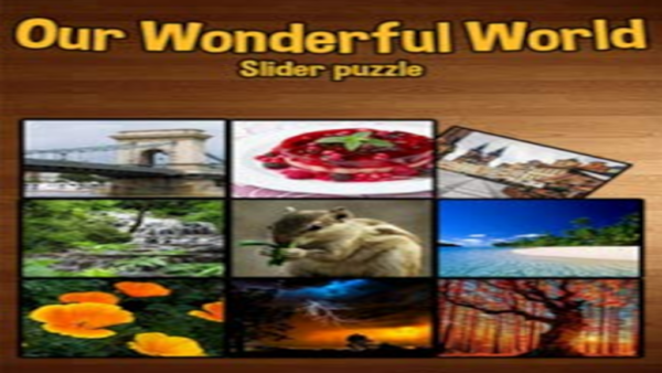 OUR WONDERFUL WORLD STEAM KEY