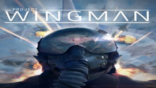 PROJECT WINGMAN STEAM KEY