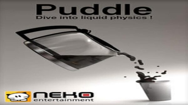 PUDDLE STEAM KEY