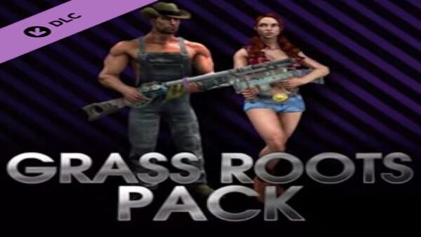 SAINTS ROW IV GRASS ROOTS PACK STEAM KEY