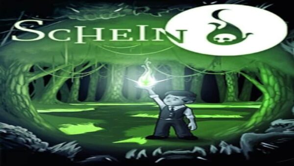 SCHEIN STEAM KEY