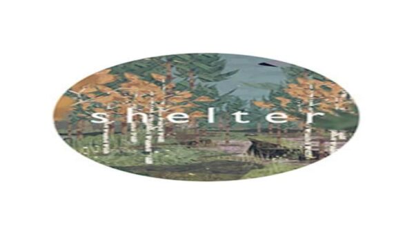 SHELTER STEAM KEY