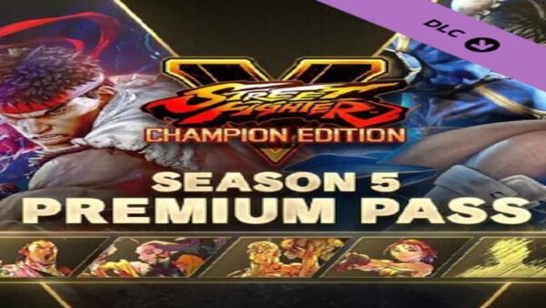 STREET FIGHTER VSEASON 5 PREMIUM PASS STEAM KEY