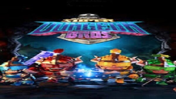 SUPER DUNGEON BROS STEAM KEY