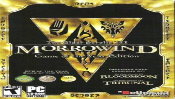 THE ELDER SCROLLS III: MORROWIND GOTY EDITION STEAM