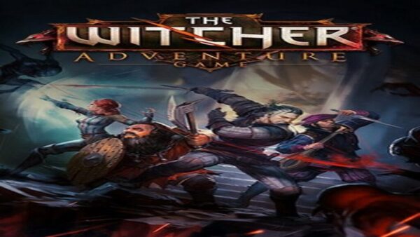 THE WITCHER ADVENTURE GAME GOG.COM KEY