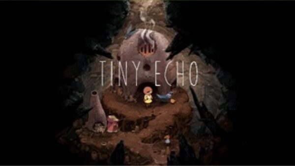 TINY ECHO STEAM KEY