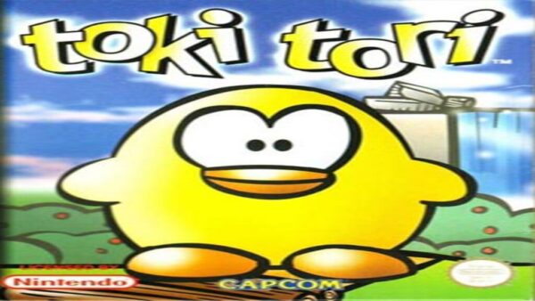 TOKI TORI STEAM KEY