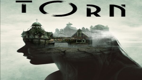 TORN STEAM KEY