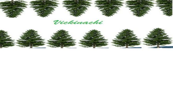 VICKINACHI STEAM KEY