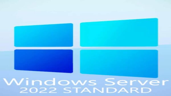 WINDOWS SERVER 2022 STANDARD - MICROSOFT KEY