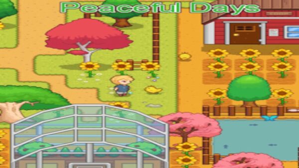 PEACEFUL DAYS STEAM KEY