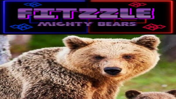 FITZZLE MIGHTY BEARS STEAM KEY